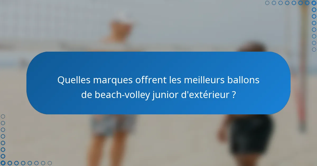 Quelles marques offrent les meilleurs ballons de beach-volley junior d'extérieur ?
