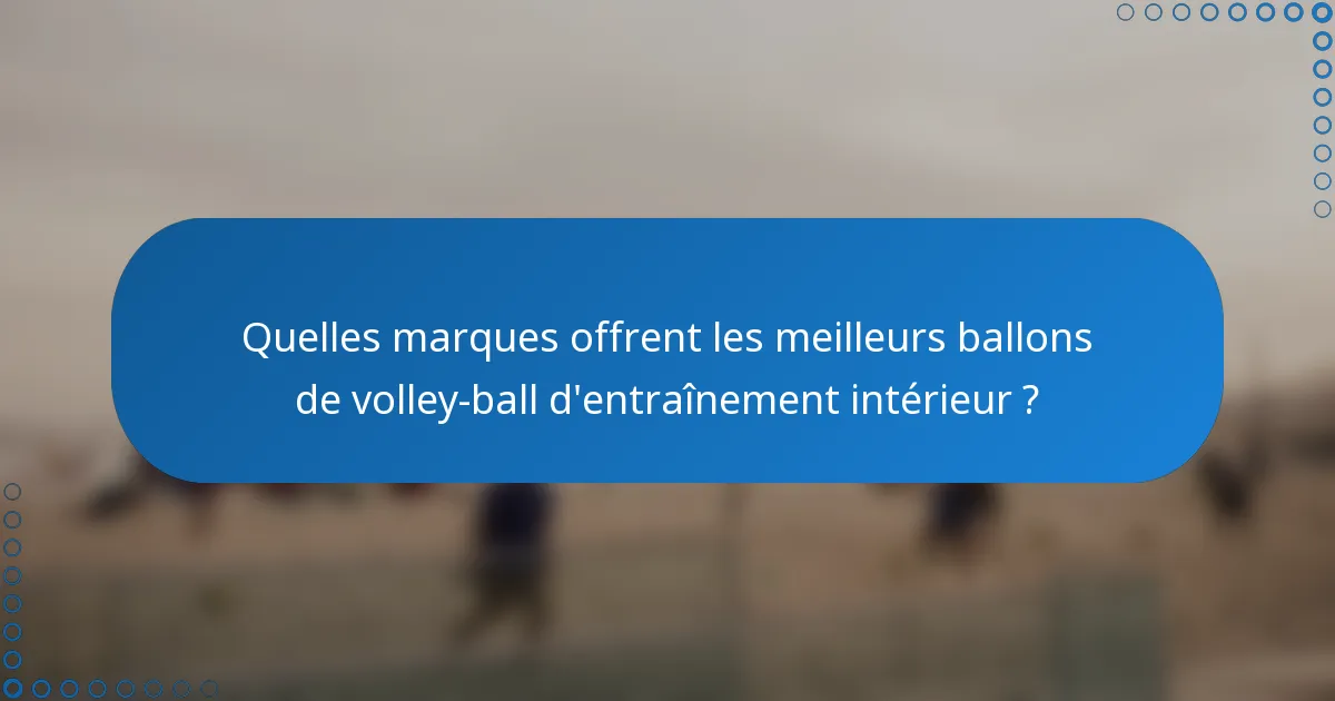 Quelles marques offrent les meilleurs ballons de volley-ball d'entraînement intérieur ?