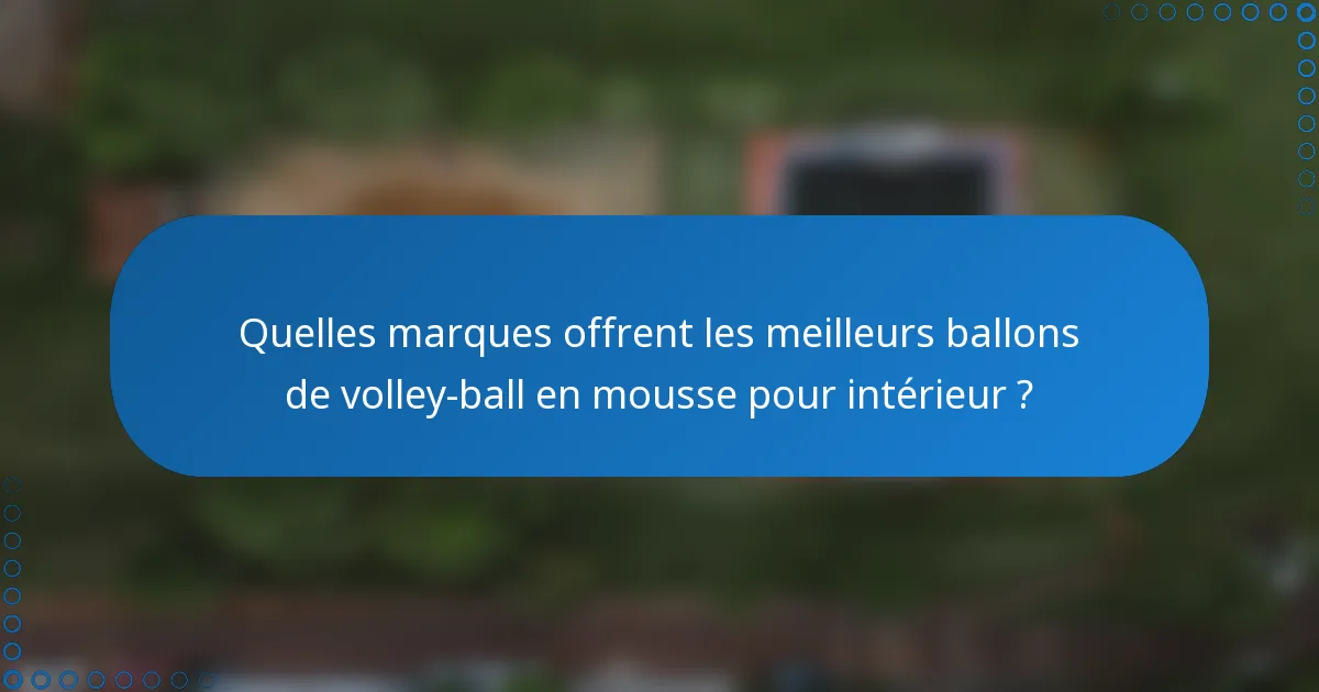 Quelles marques offrent les meilleurs ballons de volley-ball en mousse pour intérieur ?