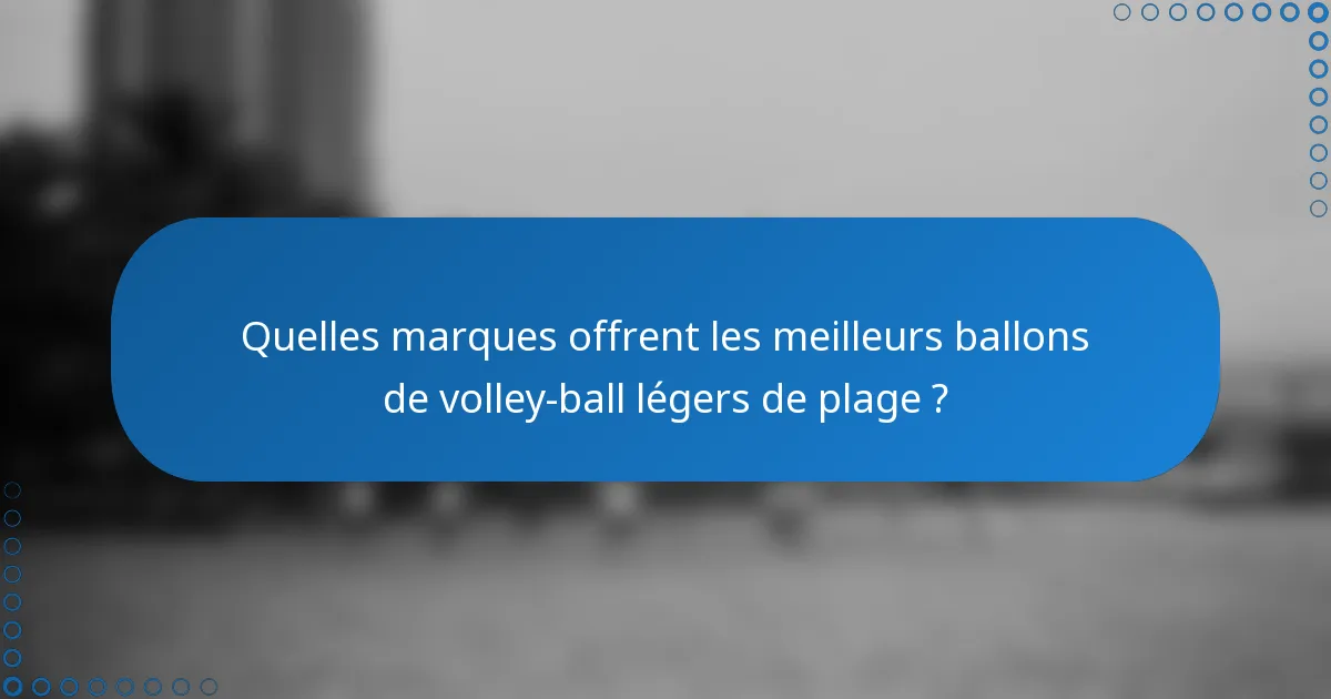 Quelles marques offrent les meilleurs ballons de volley-ball légers de plage ?
