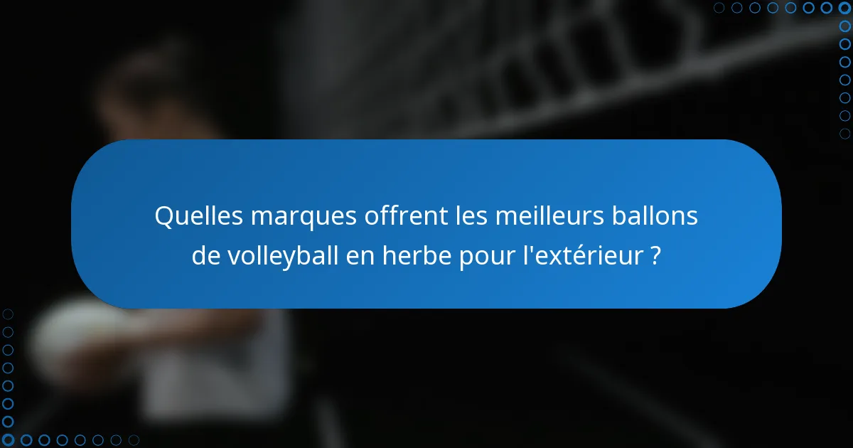 Quelles marques offrent les meilleurs ballons de volleyball en herbe pour l'extérieur ?