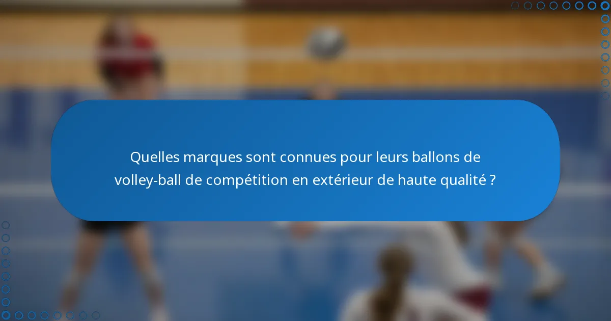 Quelles marques sont connues pour leurs ballons de volley-ball de compétition en extérieur de haute qualité ?