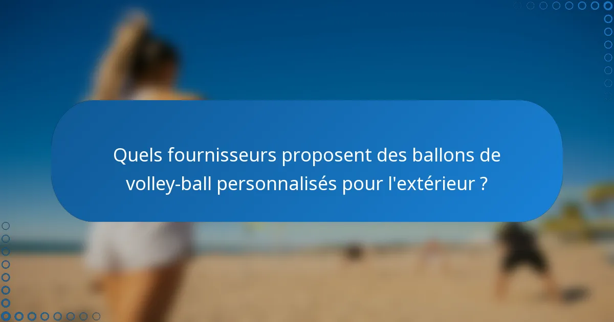 Quels fournisseurs proposent des ballons de volley-ball personnalisés pour l'extérieur ?